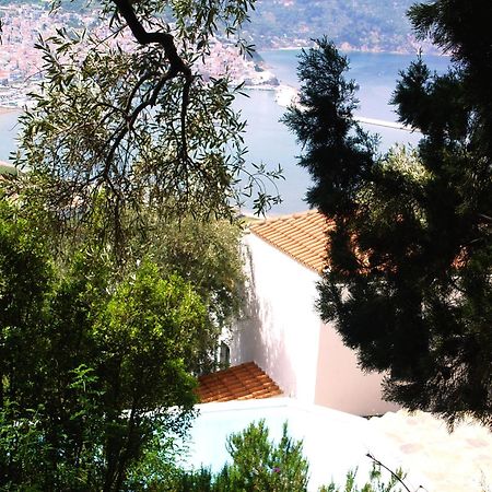 Villa Kalypso And Villa Kirki Σκόπελος Εξωτερικό φωτογραφία